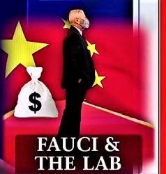 fauci & the lab Meme Template