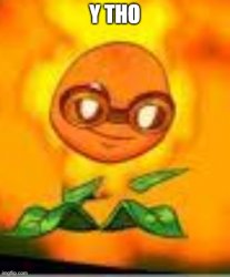 solar flare y tho Meme Template