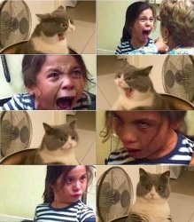CAT & GIRL ARGUMENT MEME Meme Template