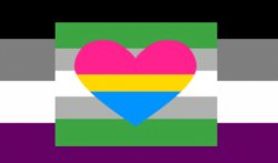 Asexual grey-panromantic flag Meme Template