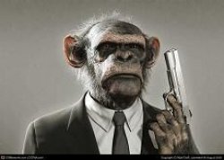 Monkie Meme Template