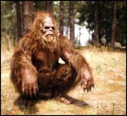 sitting sasquatch Meme Template