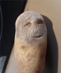 Sick Potato Meme Template