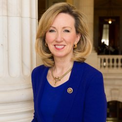 Barbara Comstock Meme Template