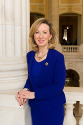 Barbara Comstock Meme Template