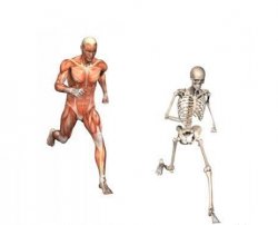 running skeleton Meme Template