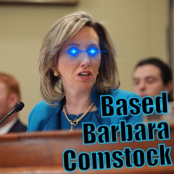 Based Barbara Comstock Meme Template
