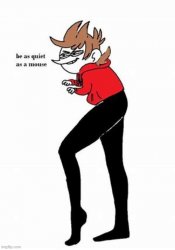 tord be quiet as a mouse Meme Template