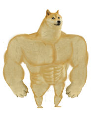 Buff doge Meme Template