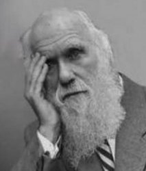 Darwin facepalm Meme Template