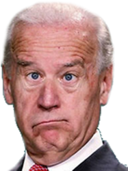 JoKe Biden - Confused President Pudd'in Head Meme Template