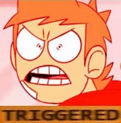 tord is triggered Meme Template