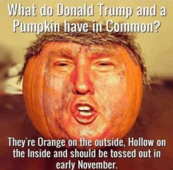 Donald Trump pumpkin Meme Template