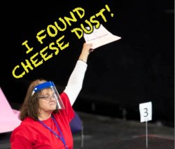 cheese dust audit Meme Template