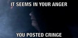 Star Wars Palpatine It seems in your anger you posted cringe Meme Template