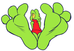 Treecko Feet Meme Template