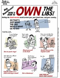 How to own the libs Meme Template