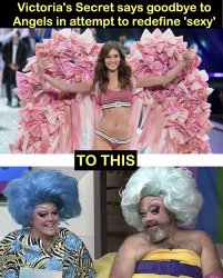 Victoria's Secret Meme Template