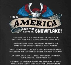 America love it or leave it snowflake Meme Template