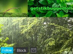 getstikbuggedlol Announcement Meme Template