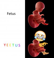 Yeetus the feetus Meme Template