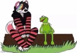 Furry and Kermit Meme Template