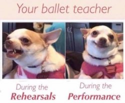 Your ballet teacher Meme Template