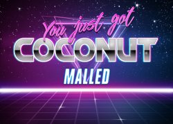 You just got coconut malled Meme Template