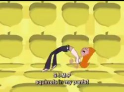 Candace has squirrels in her pants Meme Template