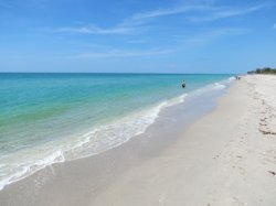 We’re I wish I was Meme Template