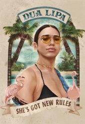 Dua Lipa I got new rules Meme Template