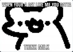 When your a cat Meme Template