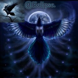 Eclipse. raven temp (thanks bubonic) Meme Template