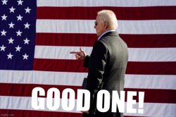 Joe Biden flag good one Meme Template