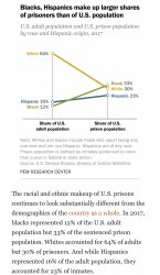 Racial makeup of U.S. Prison population Meme Template