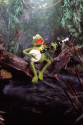 Kermit sings a song Meme Template