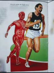 A Runner Chased by Human Muscle Meme Template