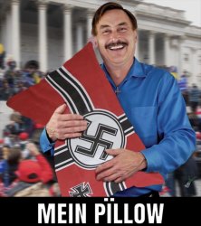 Mike Lindell Mein pillow Meme Template