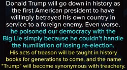 Trump traitor Meme Template