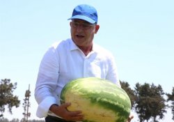 Man Holding Watermelon Meme Template
