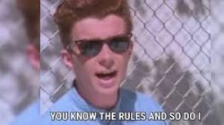 rick astley you know the rules Meme Template