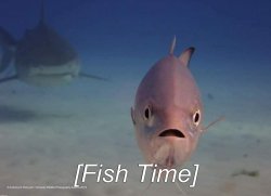 [Fish Time] Meme Template