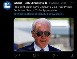 Biden Chauvin sentence Meme Template