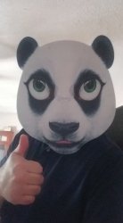 Panda Thumbs Up Meme Template