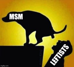 MSM feeding the Leftists Meme Template