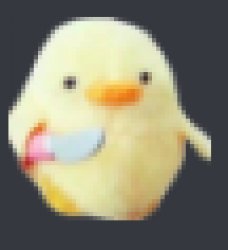 Knife Duck Meme Template