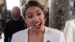 Alexandria Occasional Cortex 1 Meme Template