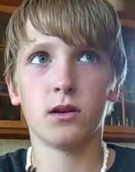 logan paul, age 13 Meme Template