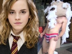 Hot for Hermione Meme Template