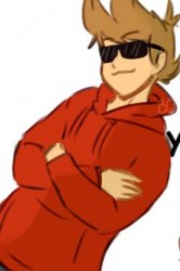 tord :D -Lily Meme Template